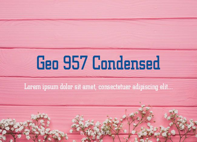 Geo 957 Condensed example
